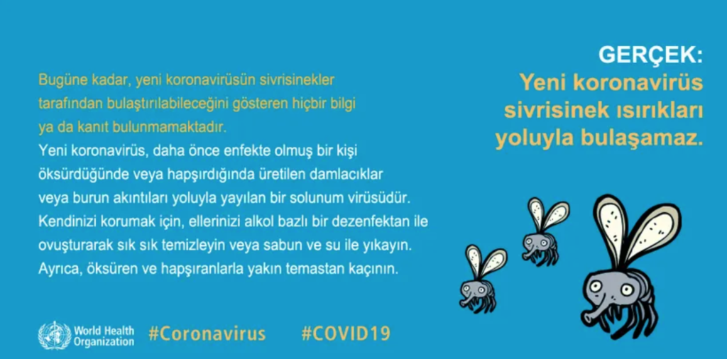 Coronavirus Obezlerde Daha Tehlikeli 13